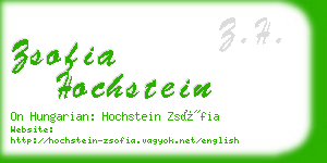 zsofia hochstein business card